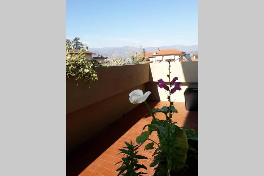 Locazione Turistica Chichibio Apartment Pistoia Bagian luar foto